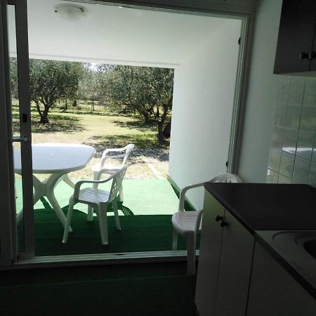 פרוי Apartments Free Parking Big Garden מראה חיצוני תמונה