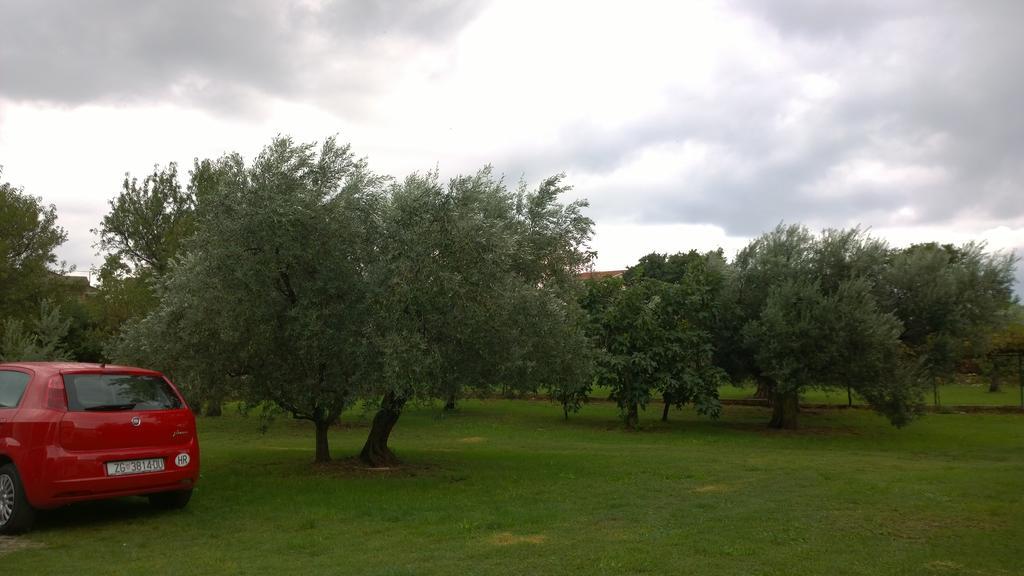 פרוי Apartments Free Parking Big Garden חדר תמונה